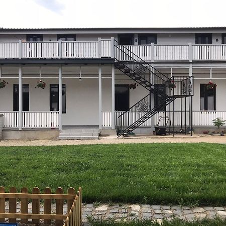 Apartament Delia 布拉索夫 外观 照片