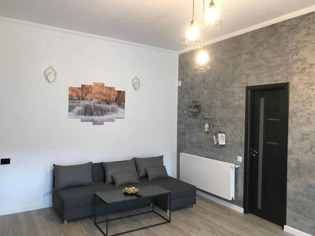 Apartament Delia 布拉索夫 外观 照片