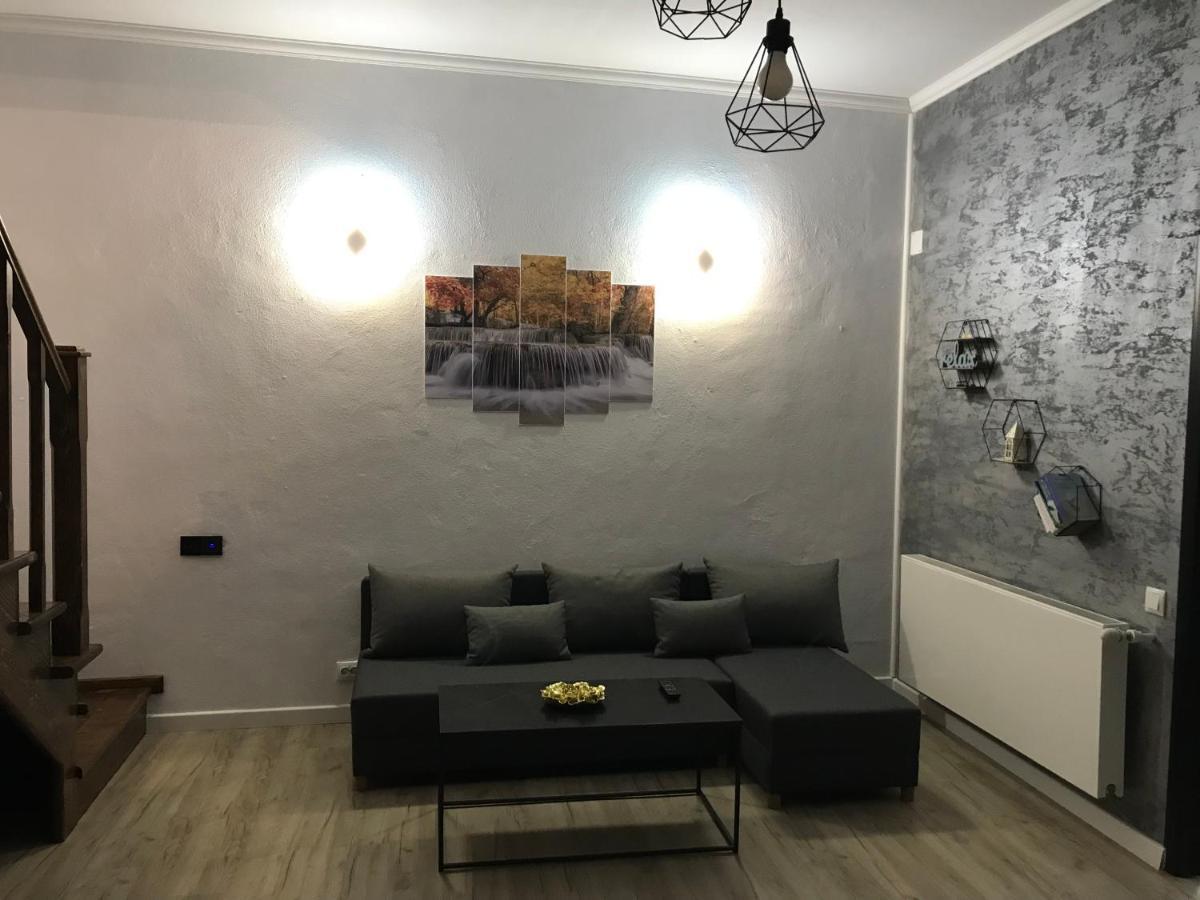 Apartament Delia 布拉索夫 外观 照片