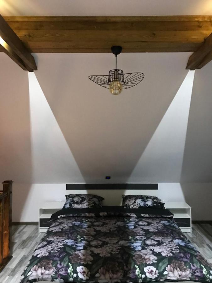Apartament Delia 布拉索夫 外观 照片
