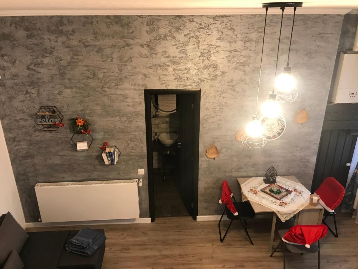 Apartament Delia 布拉索夫 外观 照片