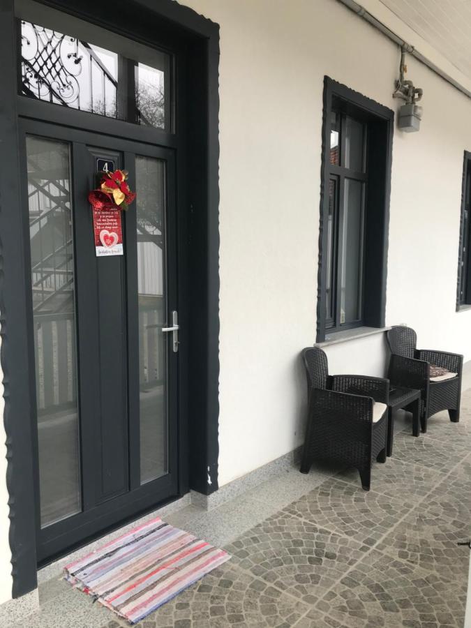 Apartament Delia 布拉索夫 外观 照片